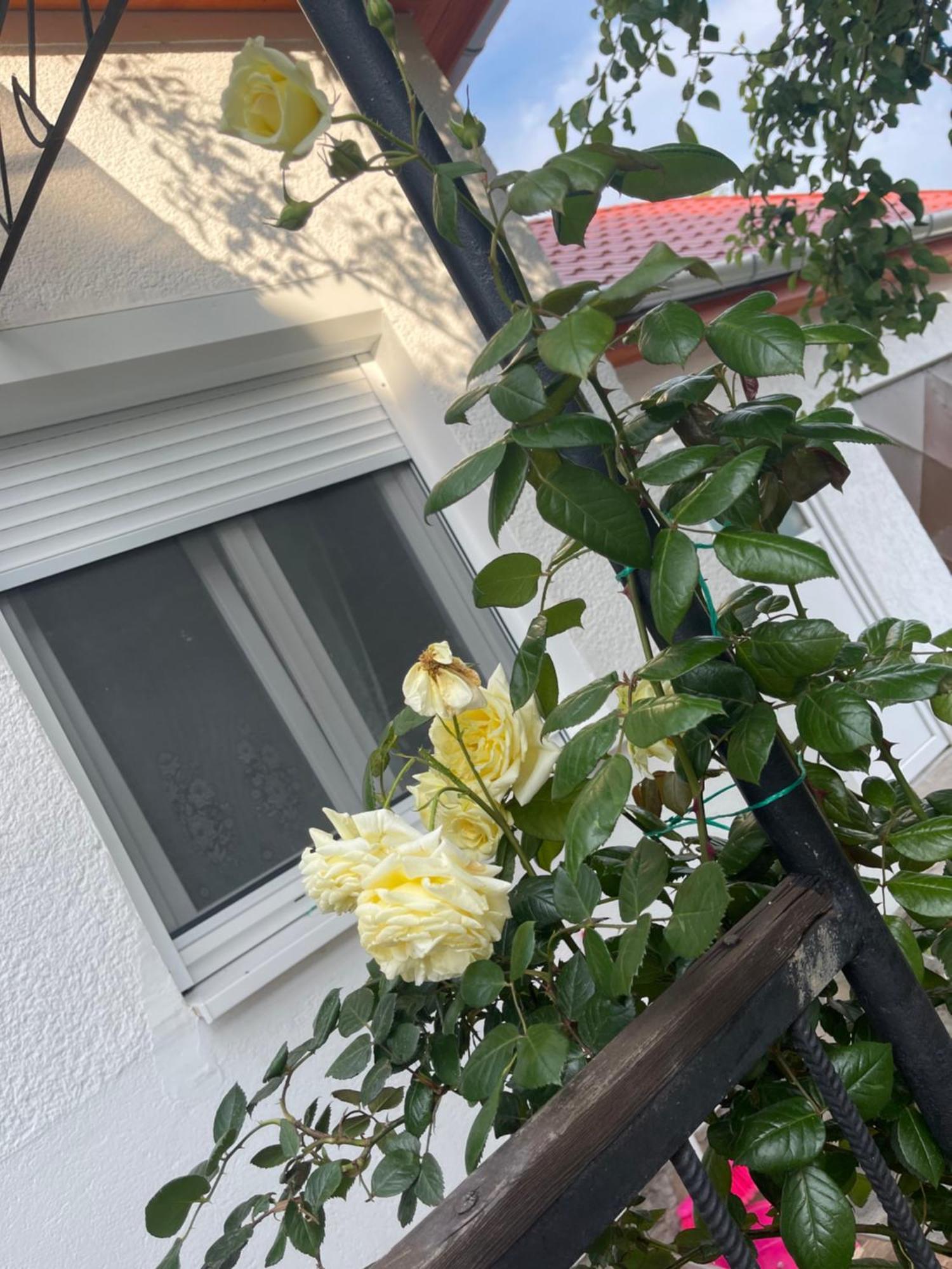 Valentina Apartman Balatonmáriafürdő 외부 사진
