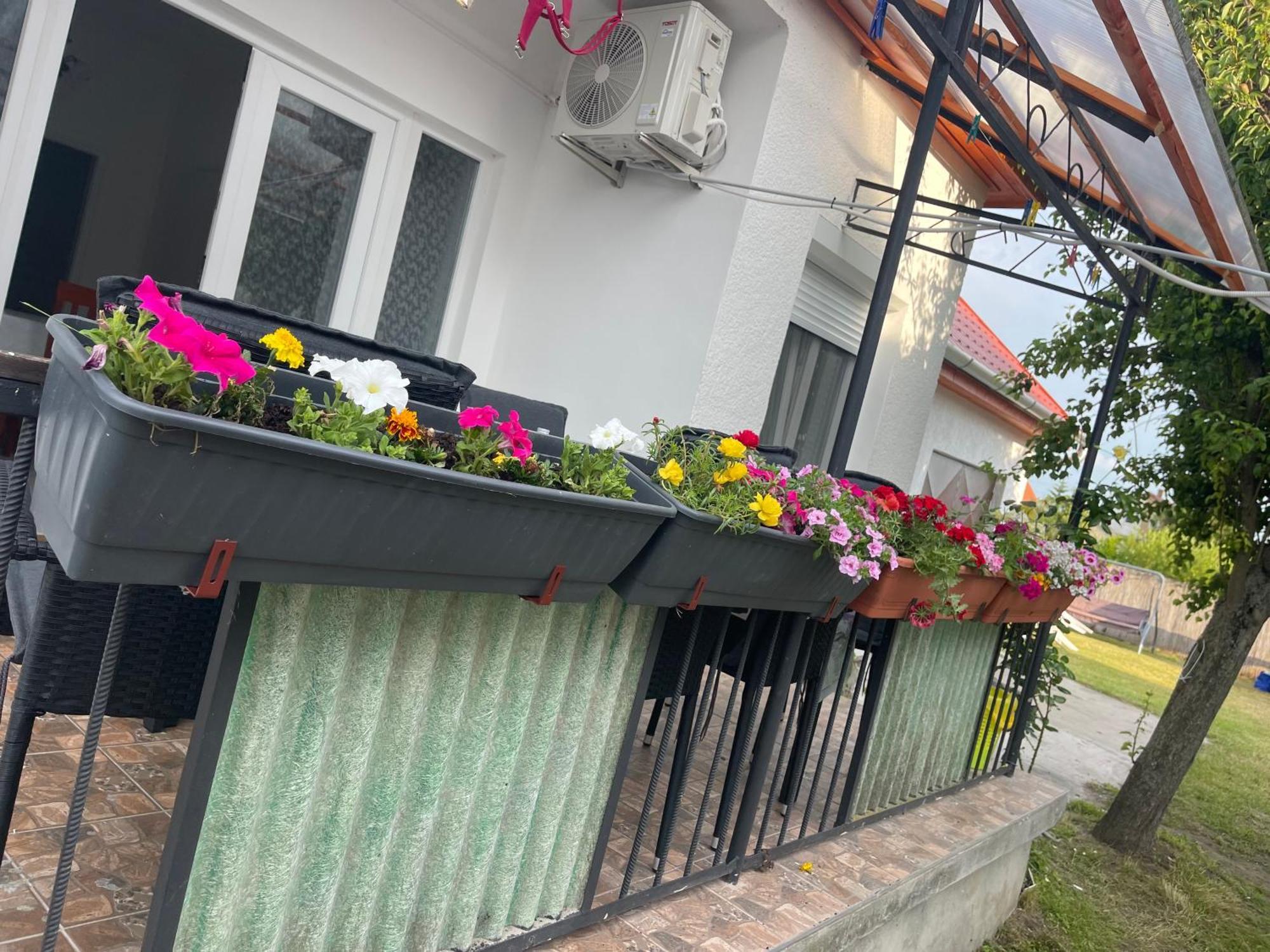 Valentina Apartman Balatonmáriafürdő 외부 사진